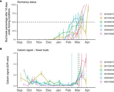 Transport capacity is uncoupled with endodormancy breaking in sweet cherry buds: physiological and molecular insights